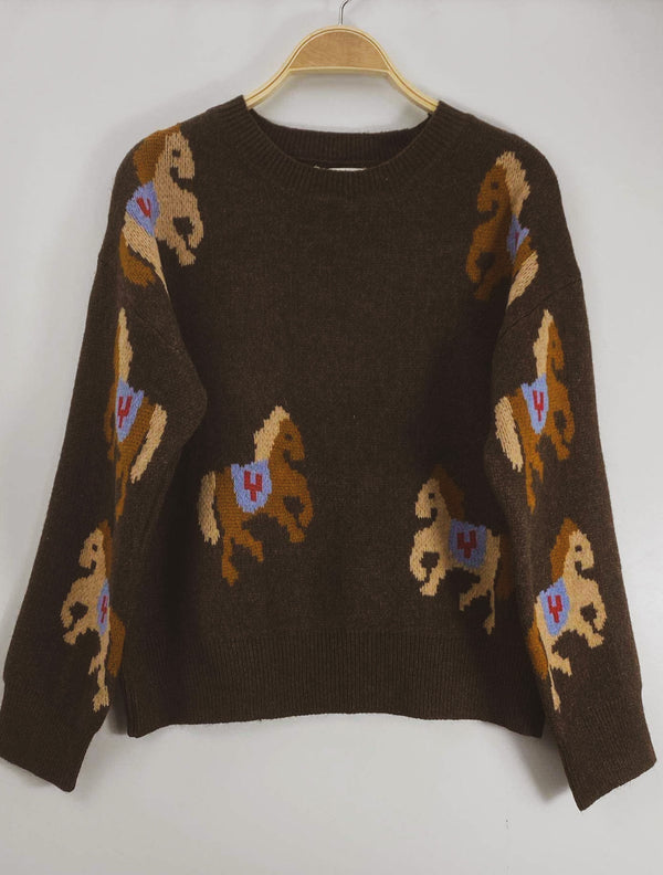 Coolest Soft Horse printed Jumper