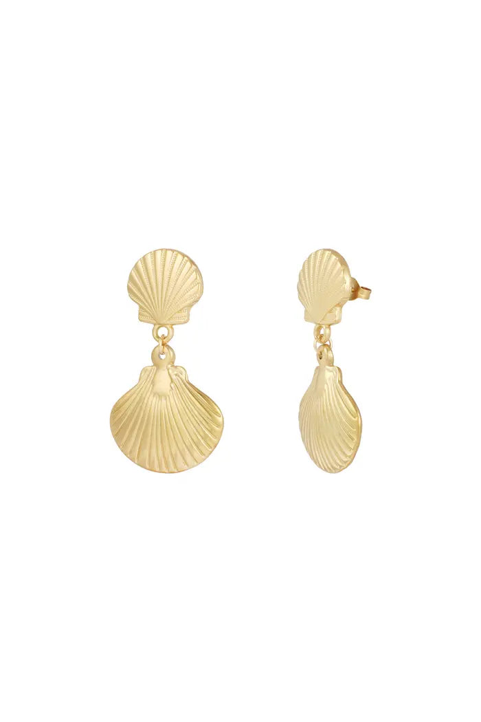 Beachy Shell earrings - Gold