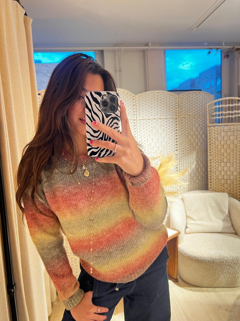 Roundneck Rainbow sweater - Brown